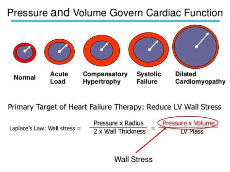 wall tension vs stress